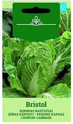CYBEXIS Cabbage CHINESSE Bristol Seeds2000 Seeds Seed(2000 per packet)