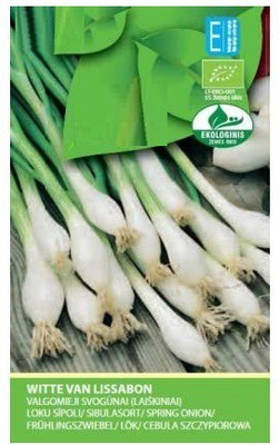 Qualtivate Spring Onion Seed(1000 per packet)