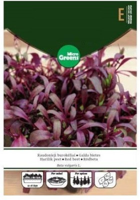 CYBEXIS RED Beet Bulls Blood Micro Greens Seeds-250 Seeds Seed(250 per packet)