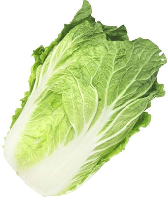 Qualtivate ™ Chinese Napa Cabbage Seeds Seed(100 per packet)