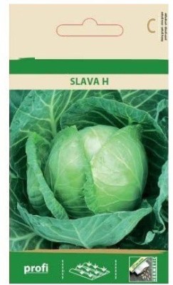 CYBEXIS White Cabbage SLAVA H Seeds2000 Seeds Seed(2000 per packet)