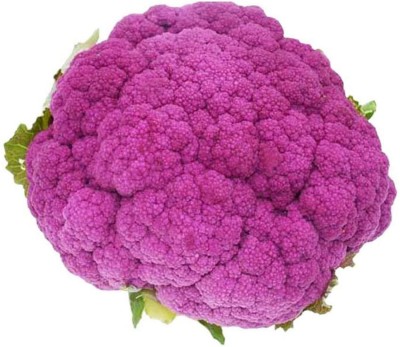 CYBEXIS Organic Cauliflower Purple Seeds (Brassica Oleracea)500 Seeds Seed(500 per packet)