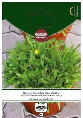 CYBEXIS Wall Rocket Seeds1400 Seeds Seed(1400 per packet)
