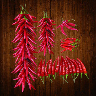 CYBEXIS Red Chili Non-GMO Vegetable Seed 2400 Seeds Seed(2400 per packet)