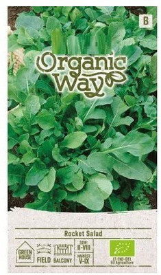CYBEXIS Rocket Salad Seeds2800 Seeds Seed(2800 per packet)