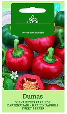 CYBEXIS Sweet Pepper/Capsicum DUMAS Seeds2400 Seeds Seed(2400 per packet)
