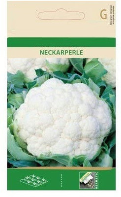 CYBEXIS Cauliflower NECKARPERLE Seeds500 Seeds Seed(500 per packet)