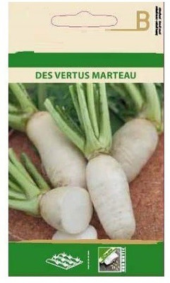 CYBEXIS Turnip White Oblong Seeds2000 Seeds Seed(2000 per packet)