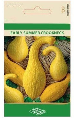 CYBEXIS Squash Early Summer crookneck, Yellow Seeds400 Seeds Seed(400 per packet)