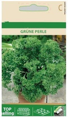 CYBEXIS Parsley GRÜNE Perle Seeds700 Seeds Seed(700 per packet)