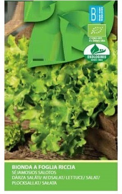 CYBEXIS Lettuce BIONDA Seeds1000 Seeds Seed(1000 per packet)
