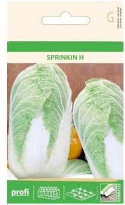 CYBEXIS Chinese Cabbage Hybrid Seeds 2000 Seeds Seed(2000 per packet)