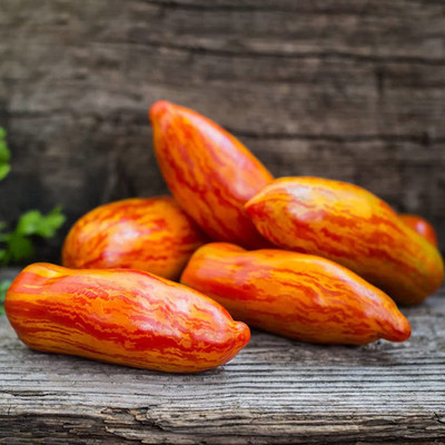 CYBEXIS Rare Tomato Seeds2000 Seeds Seed(2000 per packet)