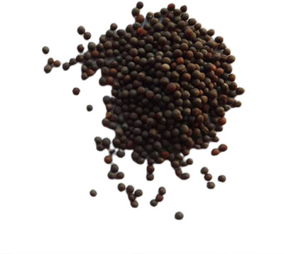 CYBEXIS Plant Seeds for Home - Pak Choi Seeds1000 Seeds Seed(1000 per packet)