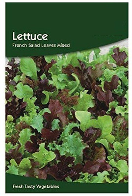 CYBEXIS Lettuce French Salad Leaves Mix Seeds2000 Seeds Seed(2000 per packet)