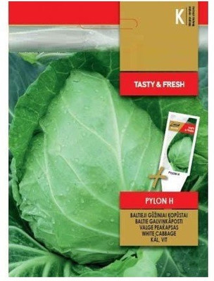 CYBEXIS White Cabbage Pylon H Seeds1000 Seeds Seed(1000 per packet)
