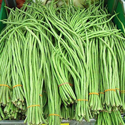 CYBEXIS Cowpea Seed(2000 per packet)