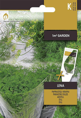 CYBEXIS Dill Herb Seeds2800 Seeds Seed(2800 per packet)