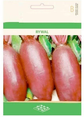 CYBEXIS Beetroot RYWAL Seeds2000 Seeds Seed(2000 per packet)