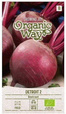 CYBEXIS Beetroot Detroit seeds2000 Seeds Seed(2000 per packet)