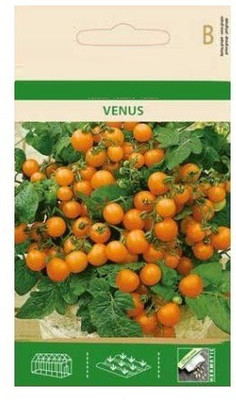 CYBEXIS Tomato Venus Seeds2000 Seeds Seed(2000 per packet)