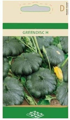 CYBEXIS Patisson Greendisc H, Green Squash Seeds-50 Seeds Seed(50 per packet)