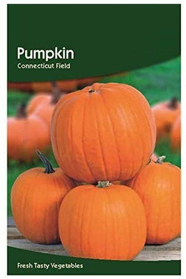 CYBEXIS Orange Pumpkin Seeds400 Seeds Seed(400 per packet)