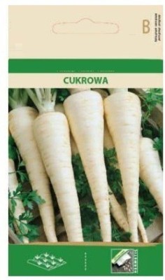 CYBEXIS Parsley CUKROWA Seeds2800 Seeds Seed(2800 per packet)