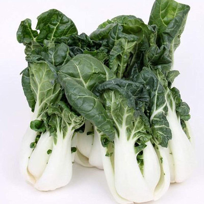 CYBEXIS Bok Choi Seeds-100 Seeds Seed(100 per packet)