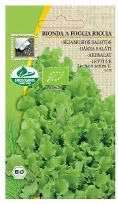 CYBEXIS Lettuce BIONDA A FOGLIA RICCIA Seeds1000 Seeds Seed(1000 per packet)