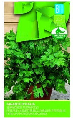CYBEXIS Parsley Hybrid Seeds700 Seeds Seed(700 per packet)