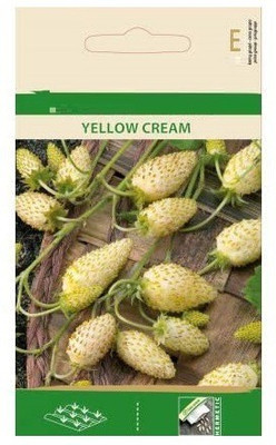 CYBEXIS Wild Strawberry Yellow Cream Seeds-50 Seeds Seed(50 per packet)