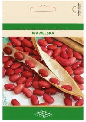 CYBEXIS Shell Bean WAWELSKA Seeds200 Seeds Seed(200 per packet)