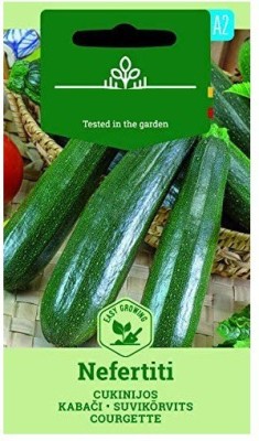 CYBEXIS Zucchini Squash/COURGETTE Nefertiti Seeds-50 Seeds Seed(50 per packet)