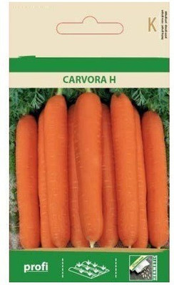 CYBEXIS Carrot CARVORA H Seeds2000 Seeds Seed(2000 per packet)