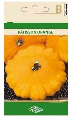 CYBEXIS Patisson Orange Squash Seeds-50 Seeds Seed(50 per packet)