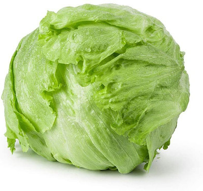 Qualtivate ® Iceberg Lettuce Seeds Seed(1000 per packet)
