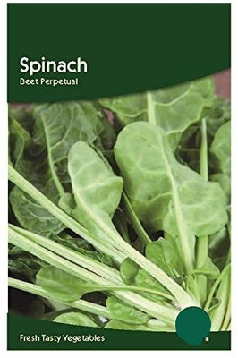 CYBEXIS Spinach Beet Perpetual Seeds2000 Seeds Seed(2000 per packet)