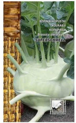 CYBEXIS Kohlrabi Hybrid Seeds500 Seeds Seed(500 per packet)