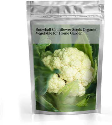 CYBEXIS Organic Snowball Cauliflower Seeds 1000 Seeds Seed(1000 per packet)