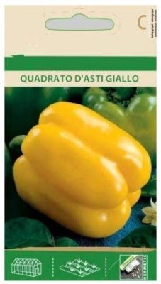 Qualtivate Capsicum Seed(500 per packet)