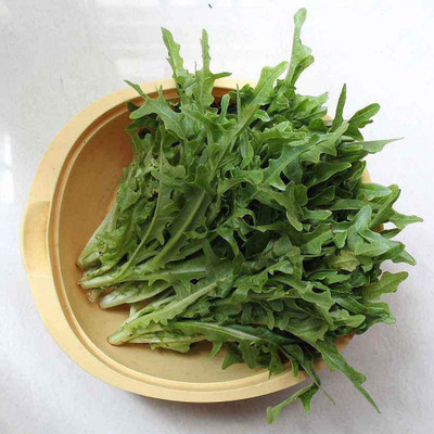 CYBEXIS Arugula Seeds Green Sweet Vegetables2800 Seeds Seed(2800 per packet)
