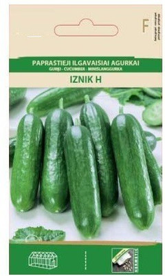 CYBEXIS Cucumber IZNIK H Seeds1000 Seeds Seed(1000 per packet)