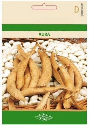 CYBEXIS Shell Bean Aura Seeds-100 Seeds Seed(100 per packet)