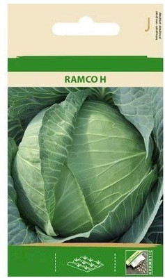 CYBEXIS White Cabbage RAMCO H Seeds2000 Seeds Seed(2000 per packet)