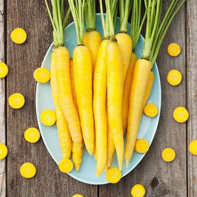 CYBEXIS Yellow Carrot Seeds2000 Seeds Seed(2000 per packet)
