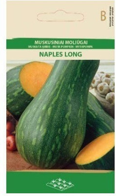 CYBEXIS Pumpkin Naples Long Seeds100 Seeds Seed(100 per packet)