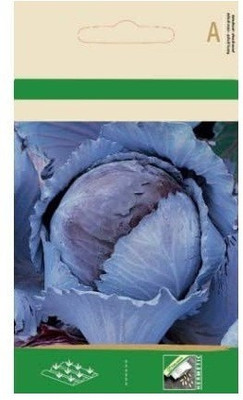 CYBEXIS RED Cabbage Round Seeds1000 Seeds Seed(1000 per packet)
