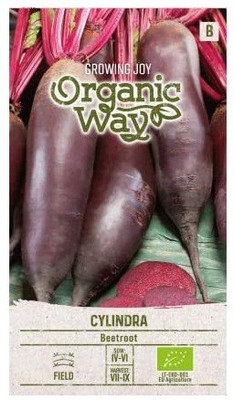CYBEXIS Beetroot CYLINDRA Seeds500 Seeds Seed(500 per packet)