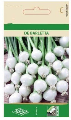 CYBEXIS Onion DE Barletta Seeds4000 Seeds Seed(4000 per packet)